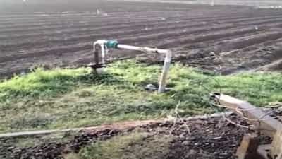 शेतातील पीक वाचवण्यासाठी शेतकऱ्याची धडपड, लढवली अनोखी शक्कल