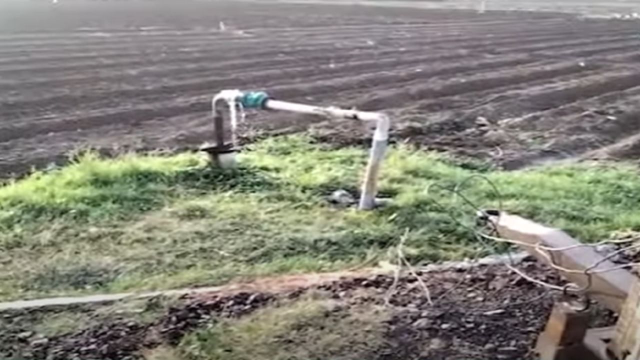 शेतातील पीक वाचवण्यासाठी शेतकऱ्याची धडपड, लढवली अनोखी शक्कल