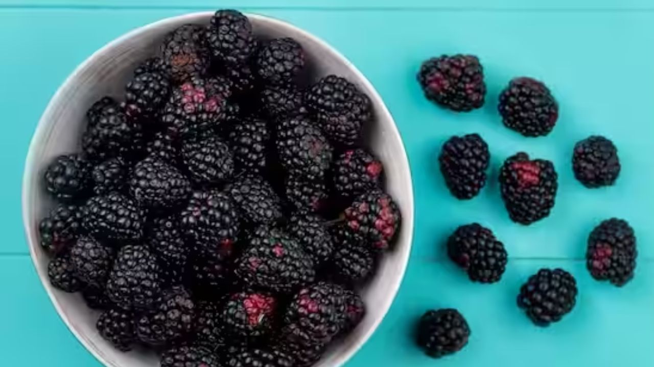 ब्लॅकबेरीमध्ये आरोग्याच्या फायद्यांचा समावेश असतो. त्यात अँथोसायनिन्स असतात, जे रक्तदाब कमी करण्यास आणि हृदयाचे आरोग्य सुधारण्यास मदत करतात. ब्लॅकबेरीमध्ये फायबरचे प्रमाण जास्त असते, जे तुमच्या आतड्याच्या आरोग्यासाठी उत्तम असते.