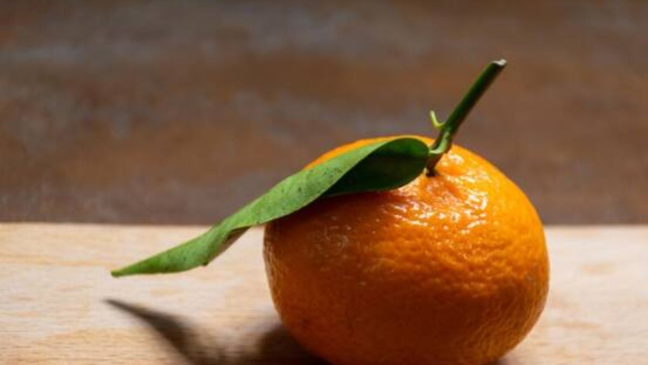 व्हिटॅमिन C च्या सर्वात हे सर्वात जास्त संत्रीमध्ये असतं. दिवसातून एक संत्री खाल्ल्याने व्हिटॅमिन सी ची तुमची रोजची गरज भागू शकते. व्हिटॅमिन सी शरीरात एक शक्तिशाली अँटिऑक्सिडंट म्हणून काम करते. हे जीवनसत्व रोगप्रतिकारक शक्तीच्या कार्यासाठी देखील आवश्यक आहे.