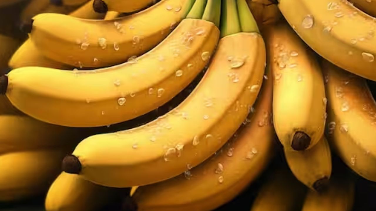 केळी त्यांच्या उच्च पोटॅशियम सामग्रीसाठी ओळखली जाते. पोटॅशियम शरीराला हृदय गती आणि रक्तदाब नियंत्रित करण्यास मदत करते. ते ऊर्जेचा एक चांगला स्रोत आहेत, एका केळीमध्ये 105 कॅलरीज आणि 26.95 ग्रॅम कार्बोहायड्रेट असतात.