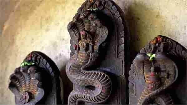 Nagpanchami 2023 : या वर्षी नागपंचमीला जुळून येत आहे विशेष योग, मुहूर्त पूजा विधी आणि महत्त्व