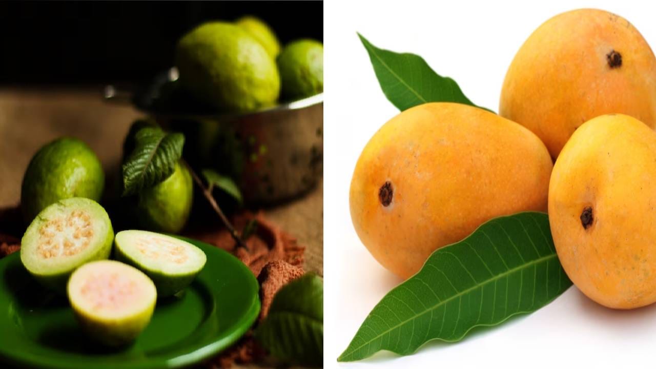 ही फळं खालं तर तंदुरुस्त व्हाल, आजारांशी लढण्याचीही मिळेल ताकद ही फळं खालं तर तंदुरुस्त व्हाल, आजारांशी लढण्याचीही मिळेल ताकद