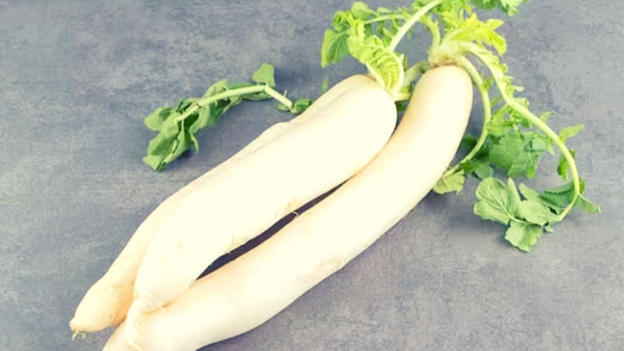 कच्च्या फळभाज्यांचा आहारात समावेश करणं आरोग्यास खूप फायदेशीर ठरतं. यामध्ये मग टोमॅटो, काकडी, गाजर, मुळा यासारख्या फळभाज्या खाल्ल्याने शरीरास अनेक फायदे होतात. तर आज आपण मुळ्याबाबत जाणून घेणार आहोत जो खूपच फायदेशीर आहे. तुम्ही फक्त उन्हाळ्यातच नाही तर हिवाळ्यातही मुळा खाऊ शकता. तर आता आपण मुळ्याच्या फायद्यांबाबत जाणून घेणार आहोत.