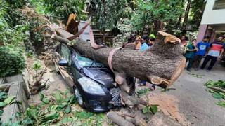 Cyclone Biparjoy: बिपिरजॉयचा हाहाकार! Video पाहा, किती भयानक…; अवाढव्य वृक्षही क्षणार्धात कोसळले