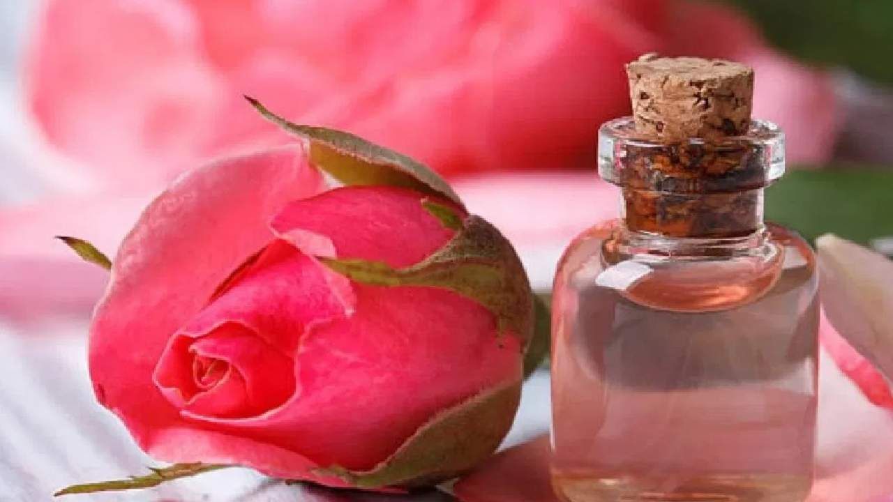 दमस्क गुलाबाच्या फुलांच्या तेलाची किंमत लाखोंमध्ये, जाणून घ्या एवढी किंमत का?