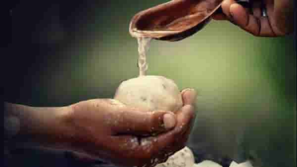 Amavasya Upay : पितरांना प्रसन्न करण्यासाठी अमावस्या आहे विशेष दिवस, या उपायांनी दूर होईल पितृ दोष
