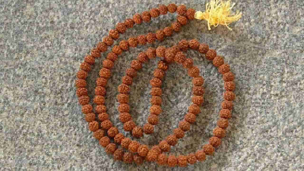 प्रत्त्येक रूद्राक्षाचे आहे विशेष महत्त्व, योग्य उपाय केल्यास होतात सर्व मनोकामना पुर्ण
