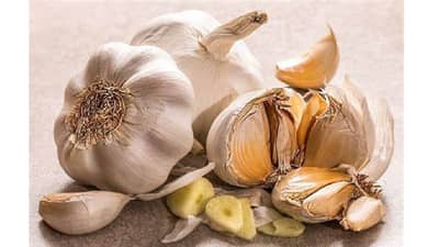 मर्यादेपेक्षा जास्त लसूण खाल्ल्यास होते हे नुकसान!