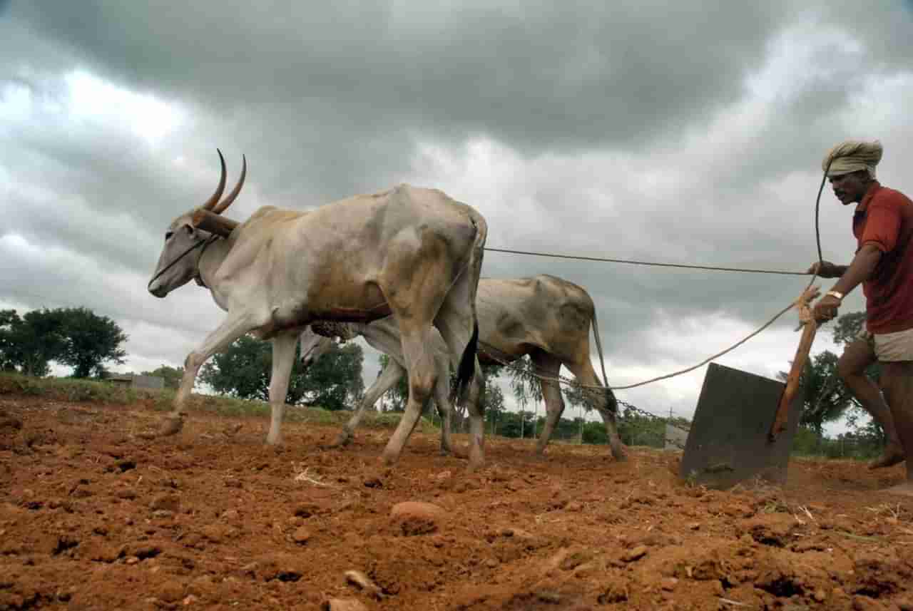 Monsoon Update : कुठे मुसळधार ते कुठे उष्णतेची लाट, काय आहे मान्सूनचा मूड