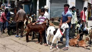 Eknath Shinde : ‘…तेव्हा XXX पातळ झालेली’; मोदी-ठाकरेंच्या ‘त्या’ भेटीबाबत एकनाथ शिंदेंकडून मोठा गौप्यस्फोट!