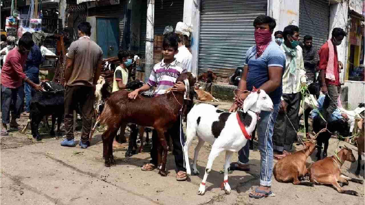 Bakrid 2023 : या तारखेला साजरी होणार बकरी ईद, समितीने केली घोषणा?