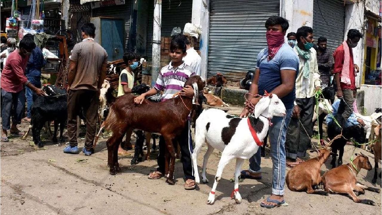 Bakrid 2023 : 'या' तारखेला साजरी होणार 'बकरी ईद', समितीने केली घोषणा?