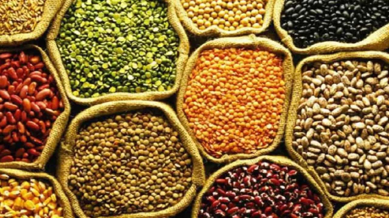 Pulses Rate : सर्वसामान्यांच्या ताटातील डाळी संदर्भात महत्वाची बातमी, किती रुपयाने महागणार?