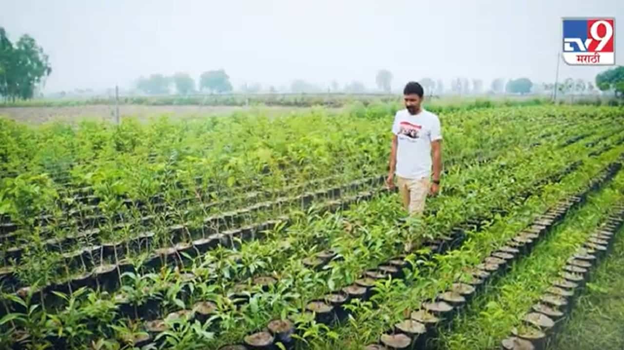 My India My Life Goal | दरवर्षी 25 हजार झाले लावत Tree Man देवेंद्र सुरा यांनी उभी केली ऑक्सिजन बाग