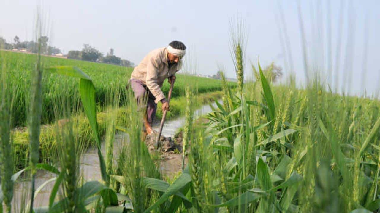 शेतकऱ्यांच्या नावावर कर्ज घेऊन कोट्यवधींची फसवणूक, कुठं घडला धक्कादायक प्रकार?