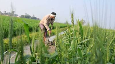 पीक कर्जाच्या जाचक अटी शिथिल करणार; कृषीमंत्र्यांने असं अश्वासन का दिले..