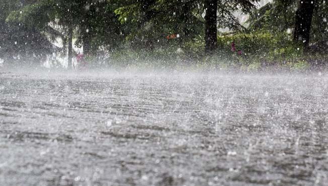 Mumbai Rain : पाऊस आला रे...; अखेर मुंबईसह उपनगरात पावसाला सुरूवात