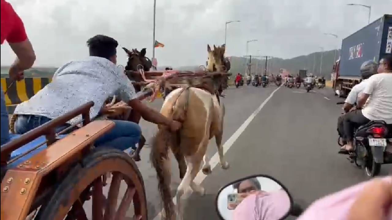 भयंकरच ! मुंबईत चक्क वेस्टर्न एक्सप्रेस हायवेवरून घोडे सुस्साट पळवले, घोडागाडी शर्यतीची पोलिसांना खबर मिळाली; मग...