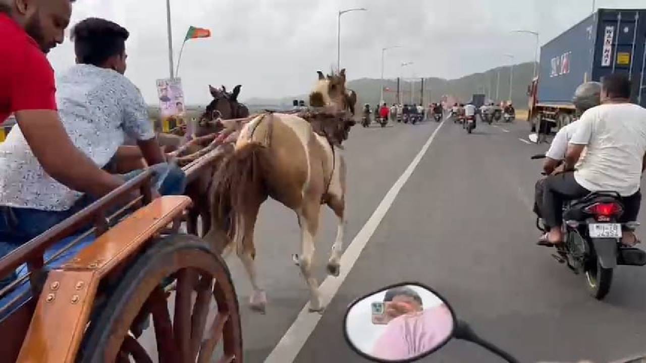 घोडगाडीचा नाद अंगाशी आला, पोलिसांनी केली मोठी कारवाई, नेमकं काय घडलं