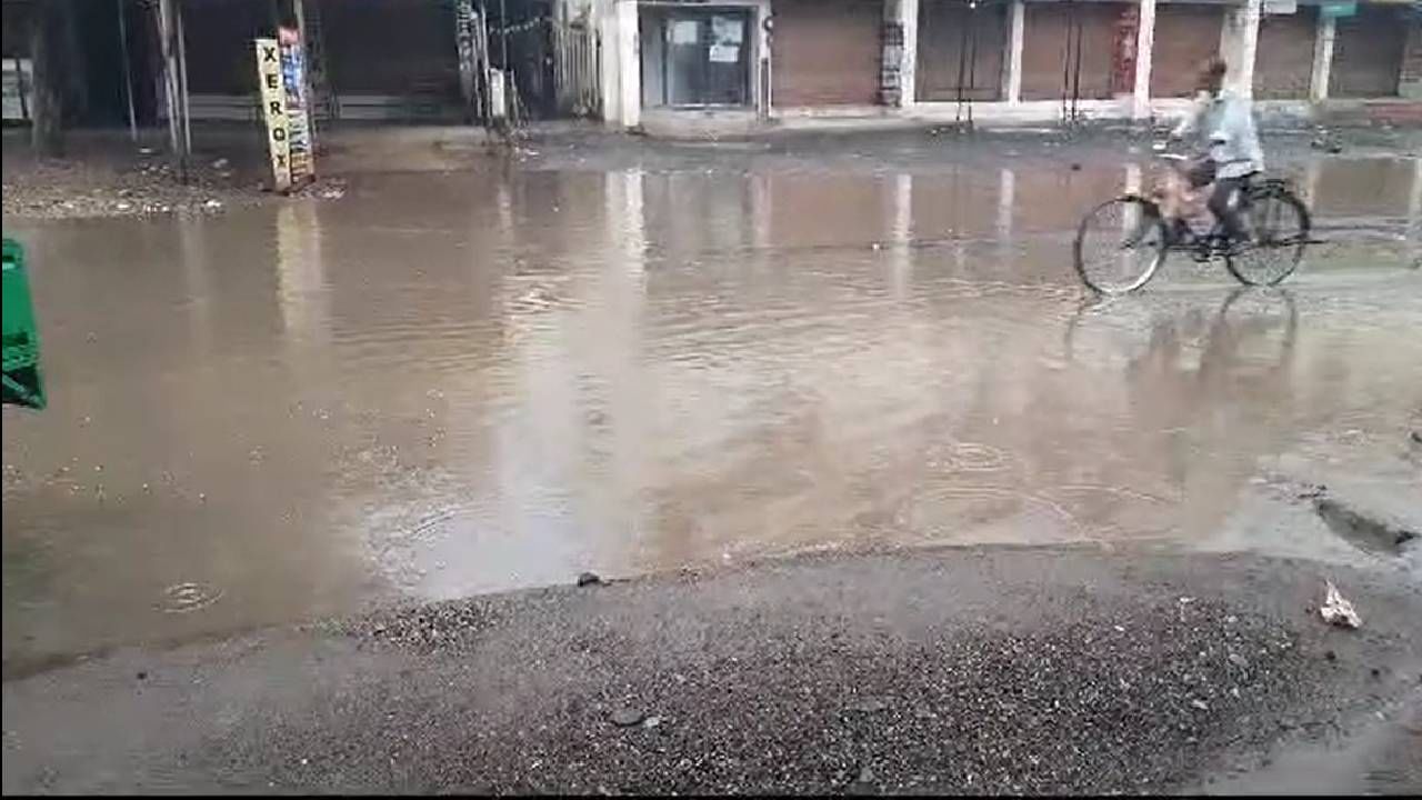 येत्या तीन ते चार दिवसांत मॅान्सून विदर्भात दाखल होण्याची शक्यता आहे.