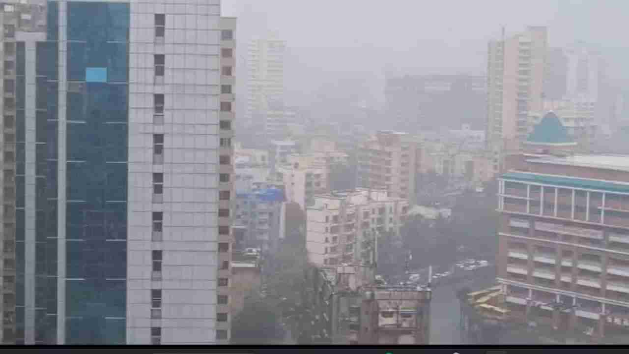 Maharashtra Rain Update : महाराष्ट्रात पाऊस सुरु झाल्यामुळे शेतकरी आनंदात, पेरणीच्या कामाला वेग येणार