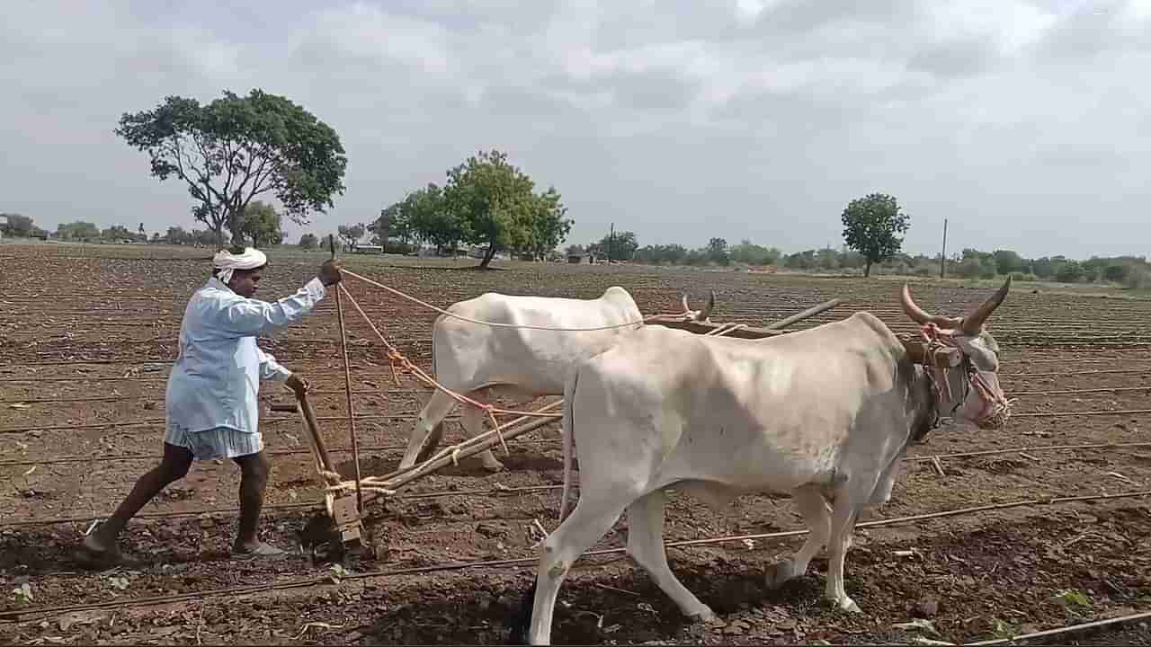 ई-केवायसी आता कृषी विभाग करणार, ज्या शेतकऱ्यांना पीएम किसान योजनेचे हप्ते...