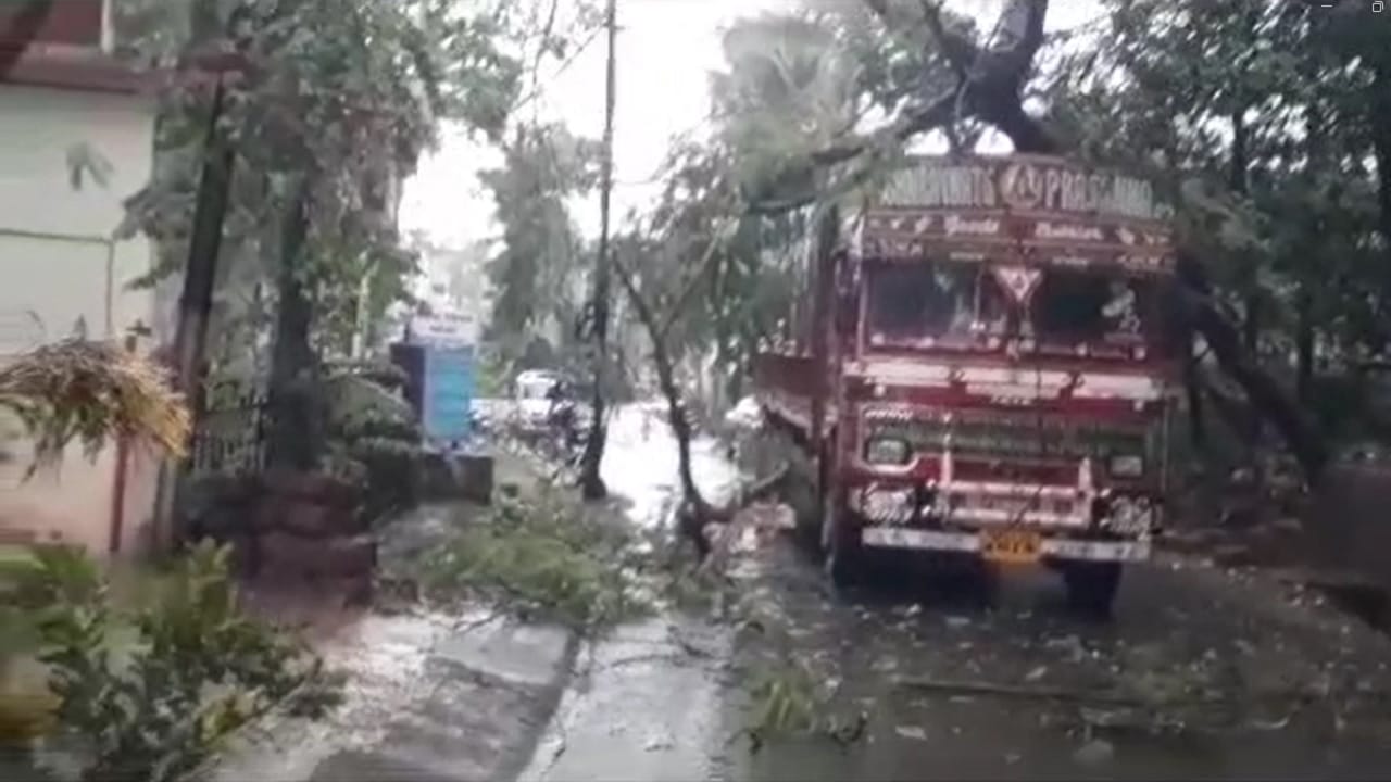 सिंधुदुर्ग जिल्ह्यात पावसाचा जोर वाढला आहे.