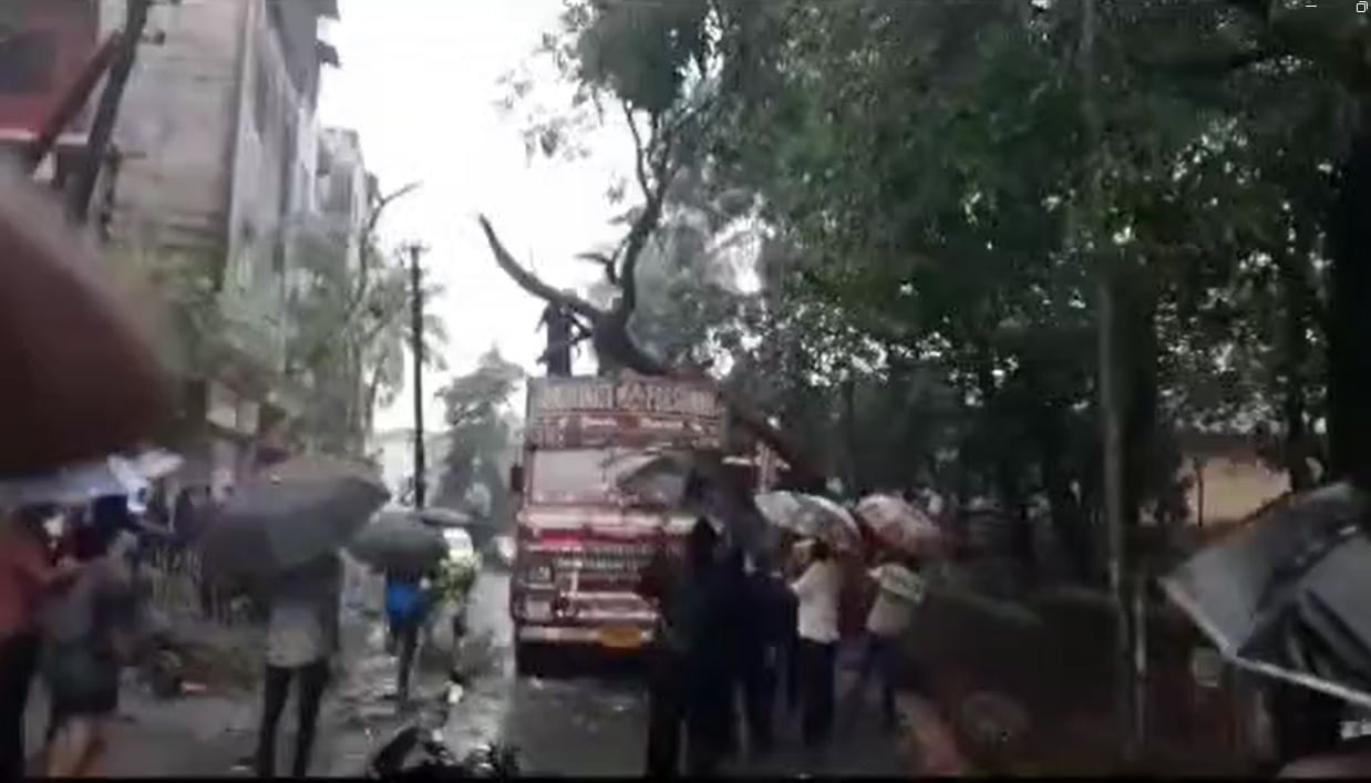 मुसळधार पावसामुळे कणकवली कॉलेज रोडलगत असलेले झाड ट्रकवर पडले. 