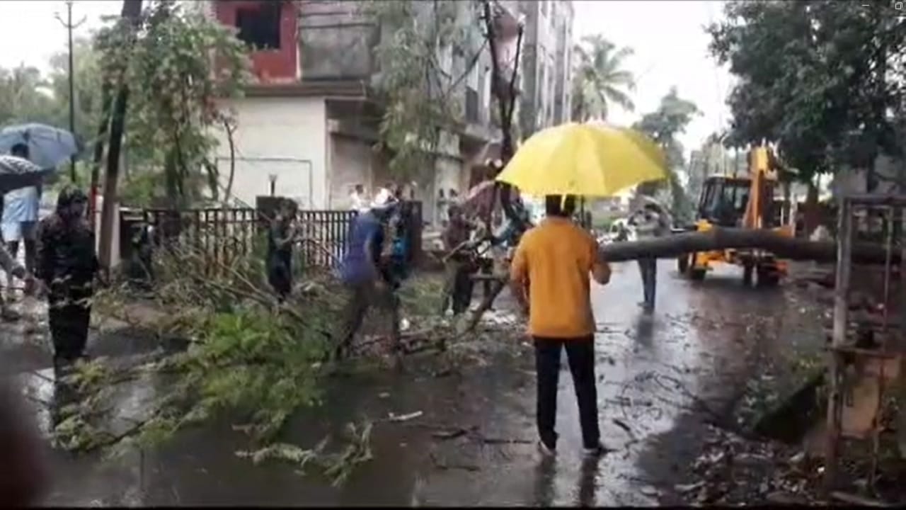 नगरपंचायतच्या कर्मचाऱ्यांनी तात्काळ झाड बाजूला करत वाहतूक सुरळीत केली.