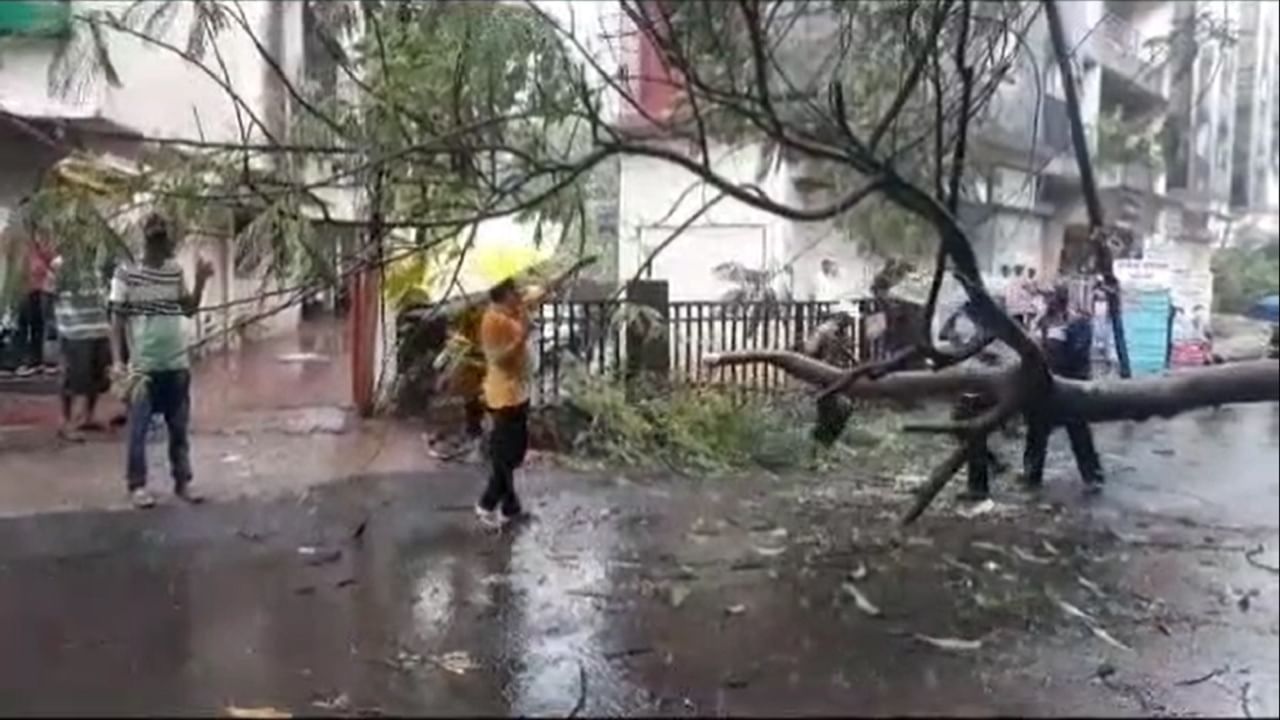 तसेच देवगड निपाणी रस्त्यावर हडपिड येथे ही झाडाच्या फांद्या तुटून रस्त्यावर आल्या होत्या.