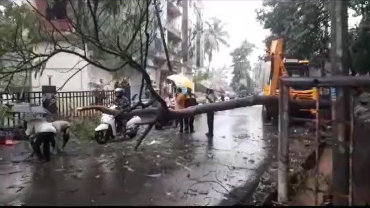 फांद्या बाजूला करून वाहतुकीचा अडथळा दूर करण्यात आला.