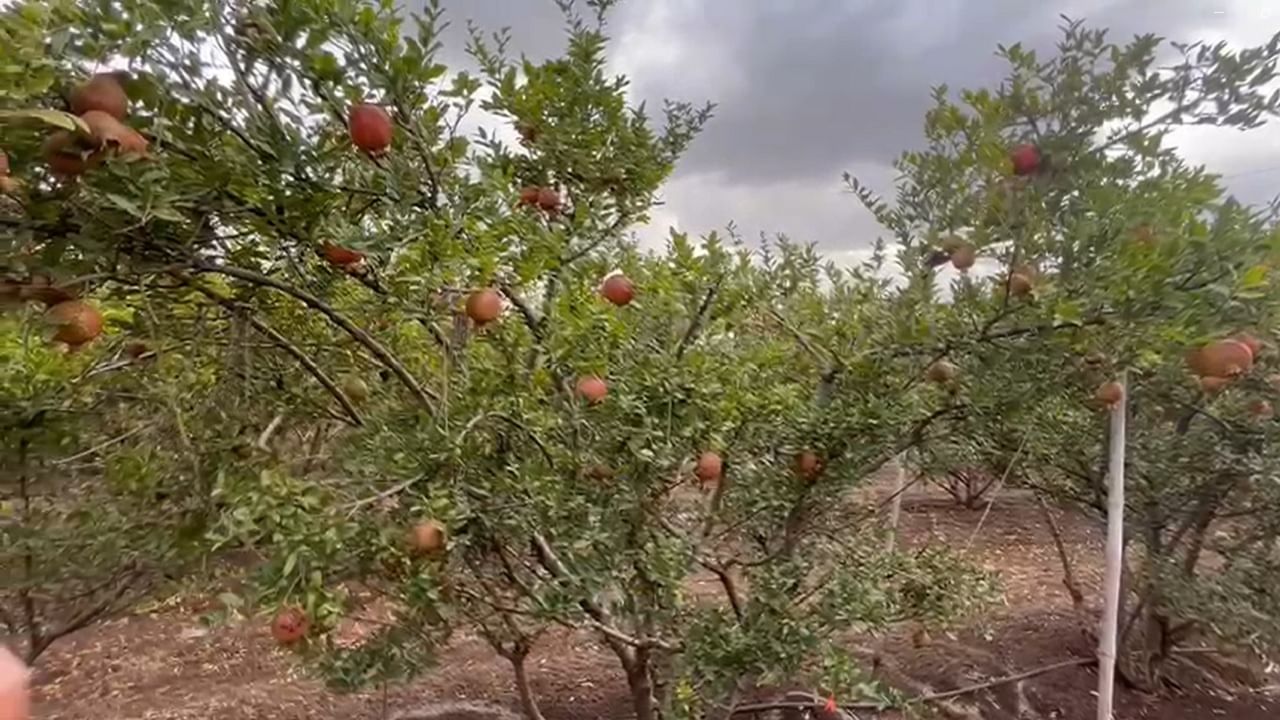 या संदर्भात इंदापूर पोलीस ठाण्यात अज्ञात व्यक्तीच्या विरोधात गुन्हा दाखल झाला आहे.