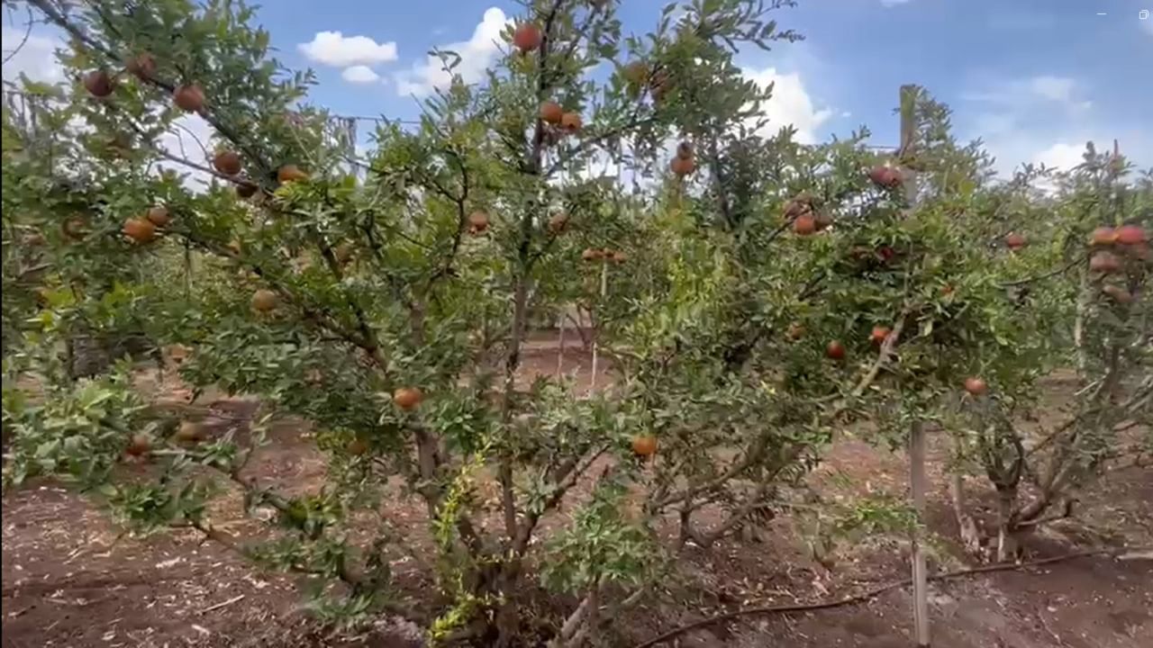 पोलिस या प्रकरणाचा कसून तपास करीत आहे. 