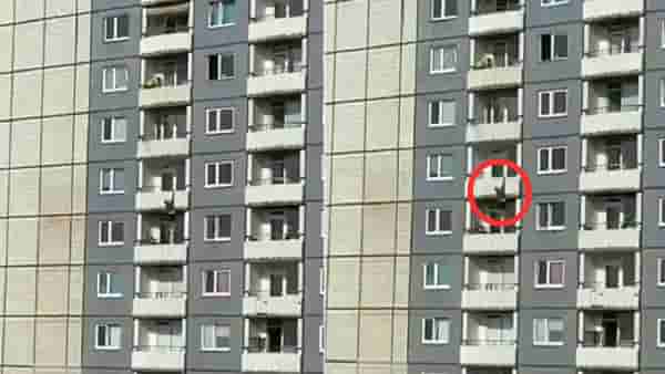 VIDEO | उंच इमारतीच्या बाल्कनीतून एकाने उडी घेतली, कमकुवत मनाच्या लोकांनी व्हिडिओ पाहू नये