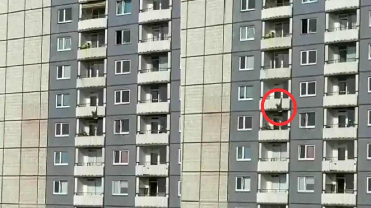 VIDEO | उंच इमारतीच्या बाल्कनीतून एकाने उडी घेतली, कमकुवत मनाच्या लोकांनी व्हिडिओ पाहू नये VIDEO | उंच इमारतीच्या बाल्कनीतून एकाने उडी घेतली, कमकुवत मनाच्या लोकांनी व्हिडिओ पाहू नये