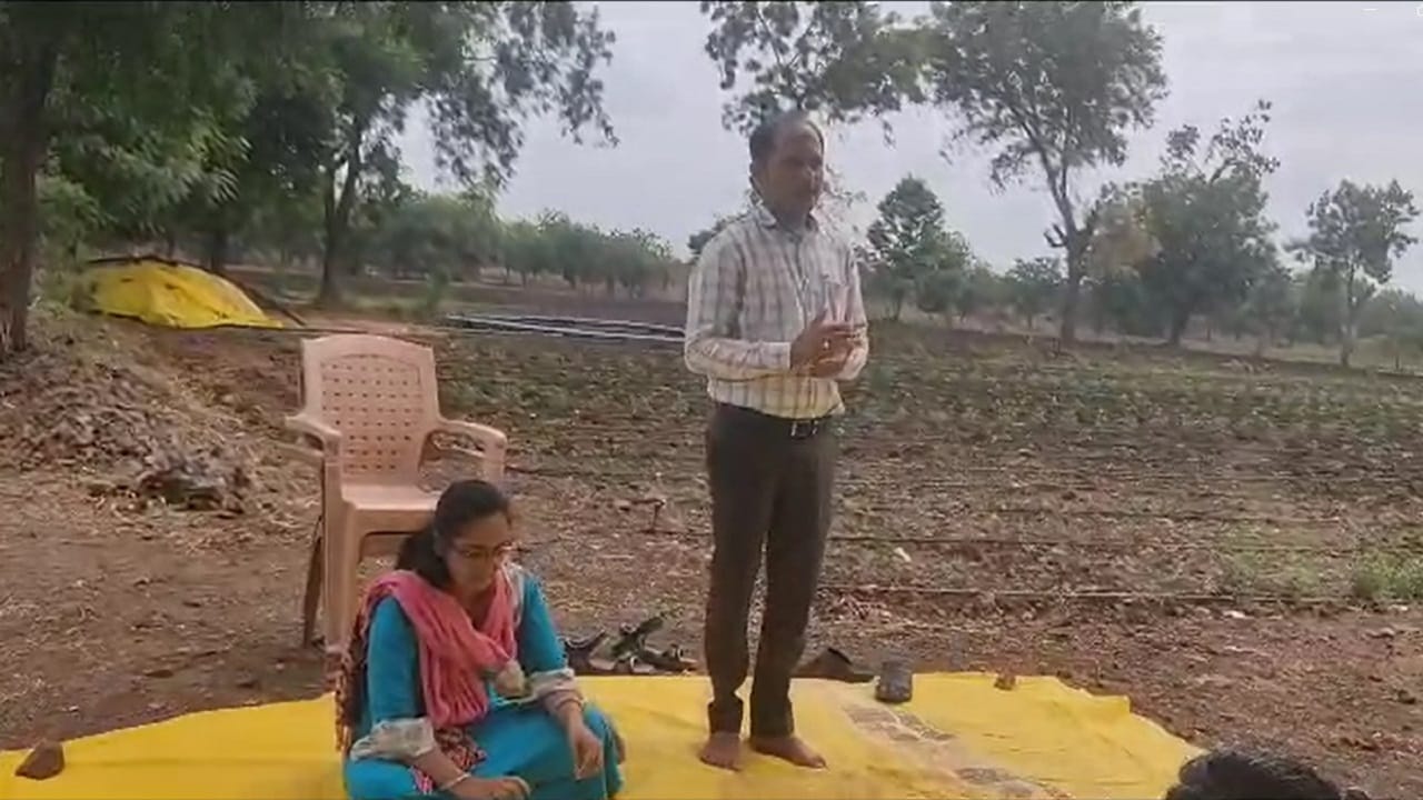 बुलढाणा जिल्ह्यातील जळगाव जामोद येथील तालुका कृषी कार्यालयाने कृषी संजीवनी सप्ताह आयोजन वाडी बुद्रुक परिसरात करण्यात आले होते. 