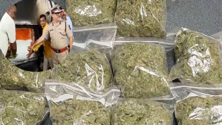 अंमली पदार्थ आणि तस्करी कराल तर गाठ पोलिसांशी; साडेपाच महिन्यात 253 आरोपी गजाआड अंमली पदार्थ आणि तस्करी कराल तर गाठ पोलिसांशी; साडेपाच महिन्यात 253 आरोपी गजाआड