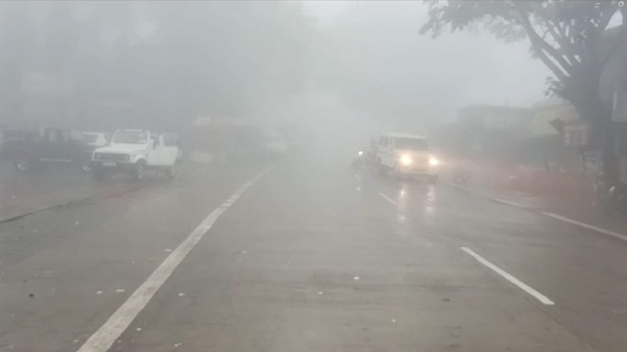 अमरावती जिल्ह्यासह राज्यात मान्सून दाखल होऊन  केवळ चार ते पाच दिवस झाले आहेत. विदर्भाचे नंदनवन असणाऱ्यांचे सौंदर्य खुलले आहे.