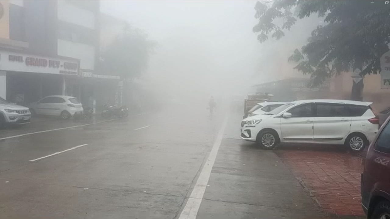 यामुळे पहिल्या पावसातच विदर्भाच्या नंदनवनात भर पडली, असून तो आता पर्यटकांना खुणावतं आहे.