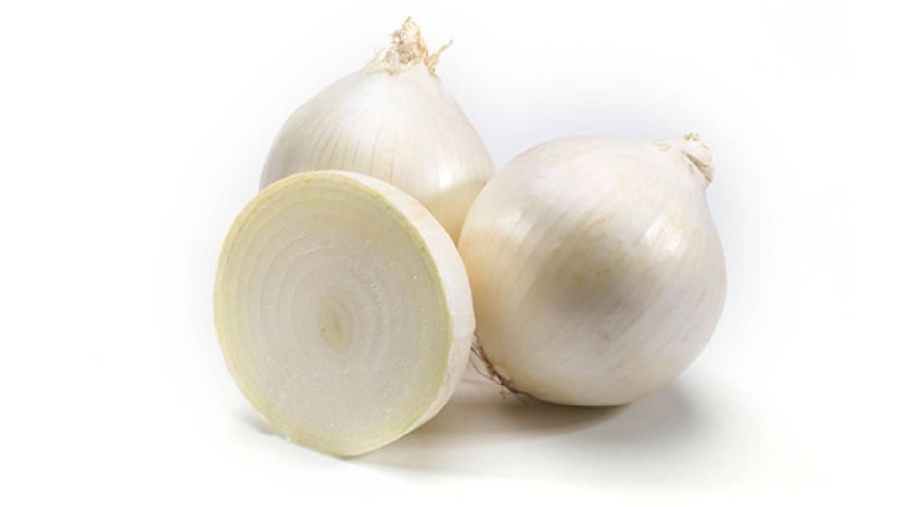 White Onion   White Onion Benefits 