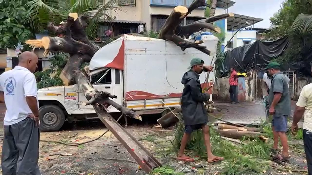 सुदैवाने कोणतीही जीवितहानी झाली नसून एका पिकअप टॅम्पोवर हे झाड पडल्याने मोठ नुकसान झालं आहे.