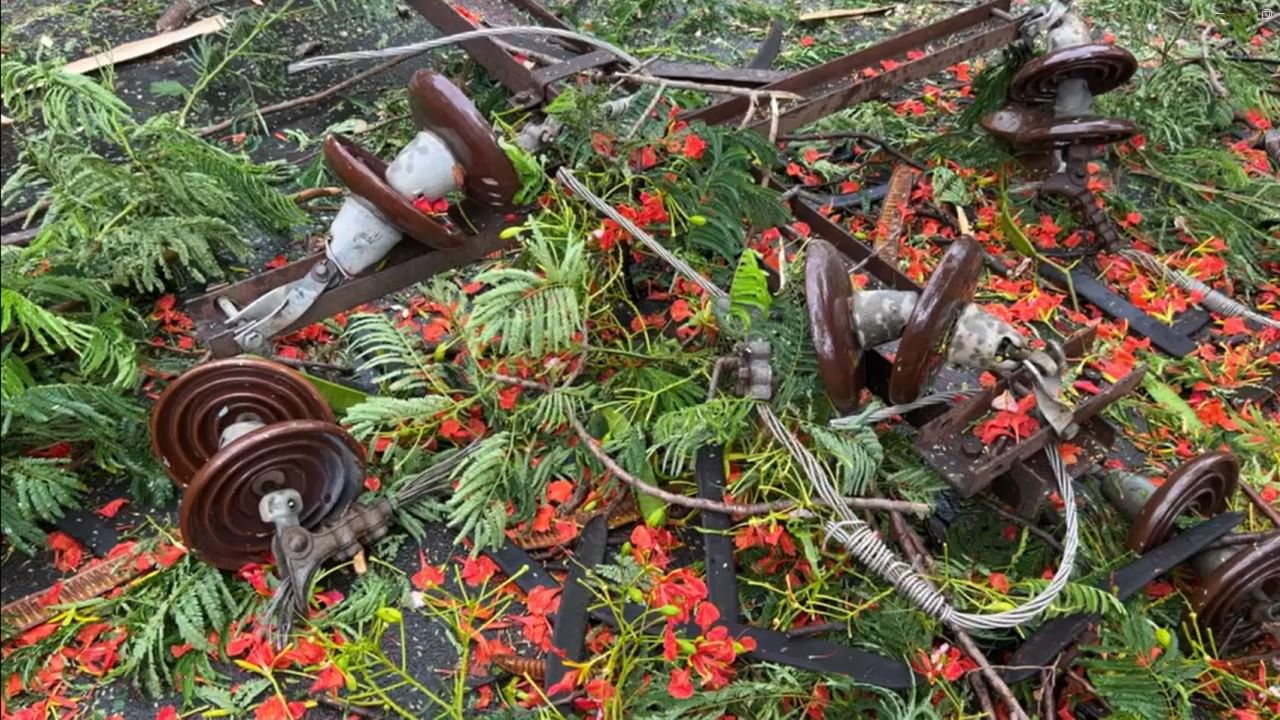 वसई पश्चिमेच्या समर्थ रामदास नगर, नवघर परिसरात गुलमोहराच झाड पडल्याची घटना घडली आहे.