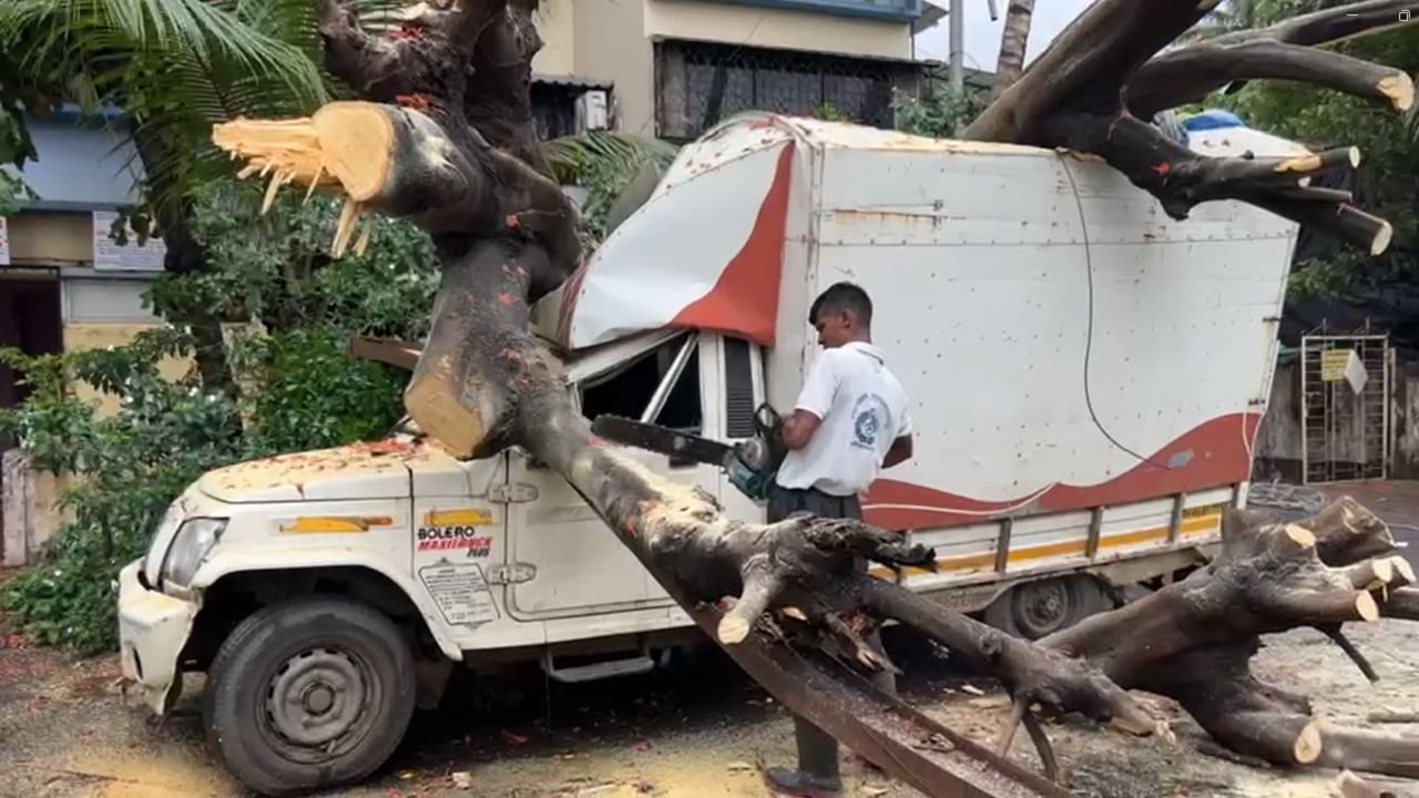 झाड पडून विजेचे पोल देखील पडले आहेत, त्यामुळे परिसरात वीज पुरवठा खंडित झाला आहे.