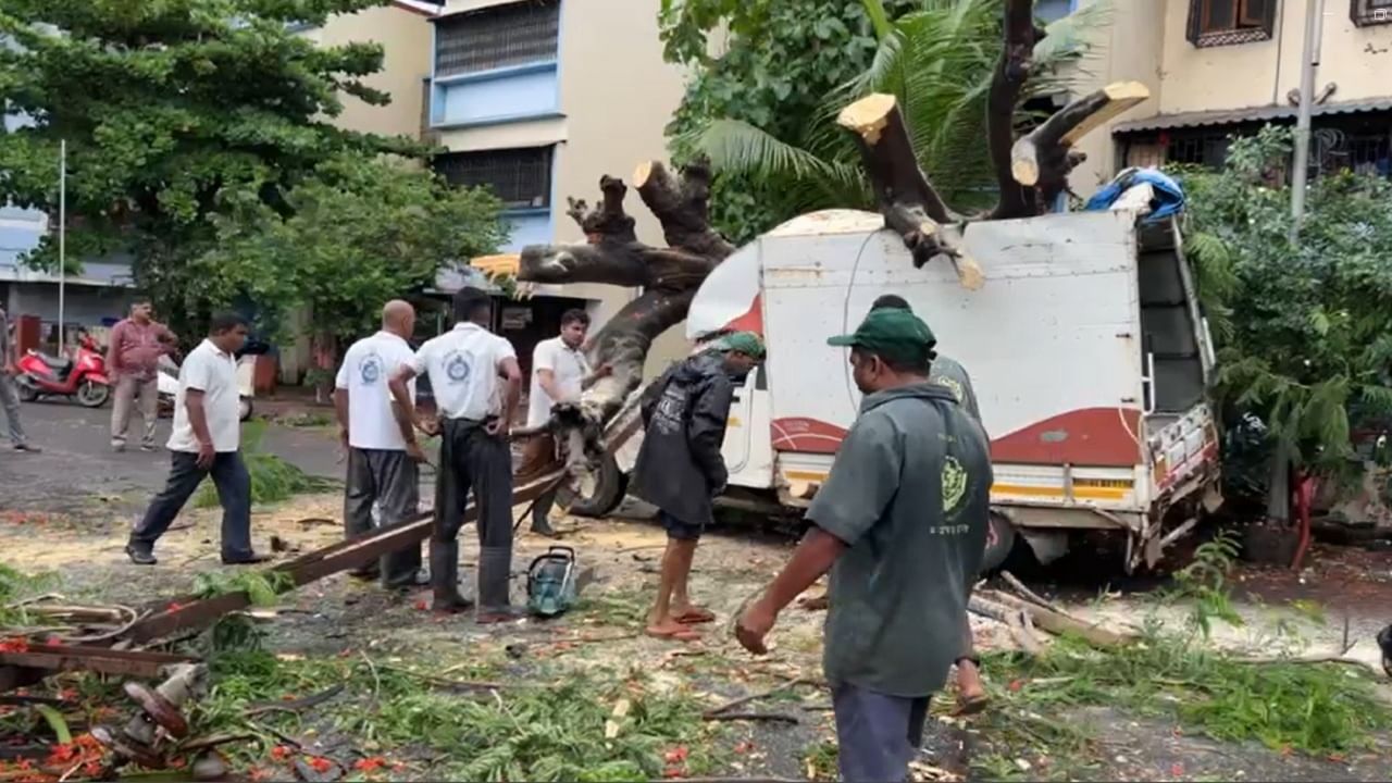 घटनास्थळी महापालिकेच्या अग्निशमन दलाचे जवान दाखल होऊन झाड बाजूला काढण्याचे काम सुरू आहे.