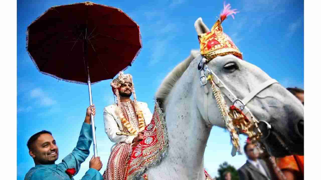 Horse Riding: नवरदेवाची स्वारी घोड्यावरच का? लग्नाची मिरवणूक घोड्यावरच का?