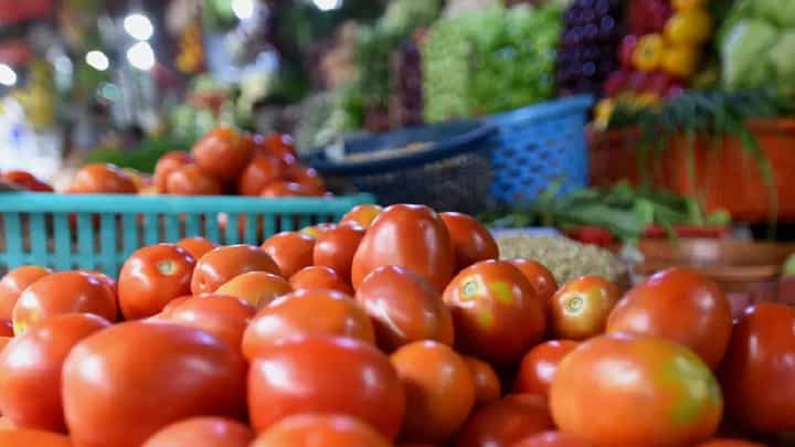 आधी शेतकऱ्याला रडवलं, अन् आता ग्राहकांना; टॉमेटोला आला सोन्याचा भाव आधी शेतकऱ्याला रडवलं, अन् आता ग्राहकांना; टॉमेटोला आला सोन्याचा भाव
