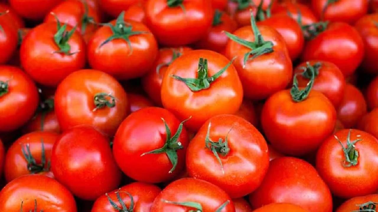 Tomato Price : टोमॅटोच्या भावाने ग्राहक लालबुंद! किंमतींनी केला कहर