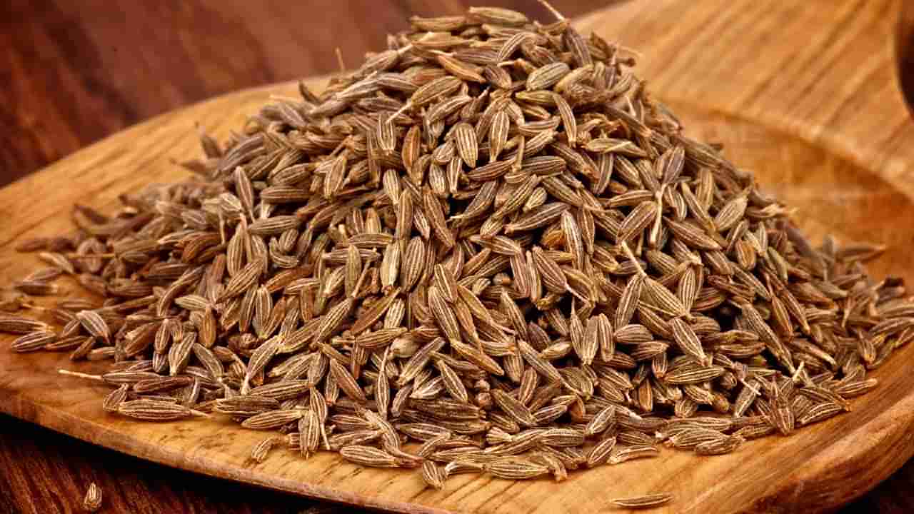 Cumin Seed Gold : जिऱ्याला सोन्याचा भाव! किंमती पोहचल्या गगनाला