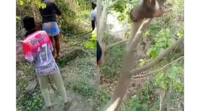 सापाला पकडायला गेले आणि सापानेच दाखवून दिलं! Video Viral